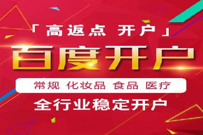 成功SEM竞价托管案例分析报告